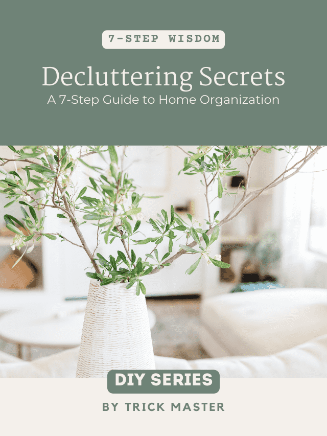 Decluttering Secrets: A 7-Step Guide to Home Organization